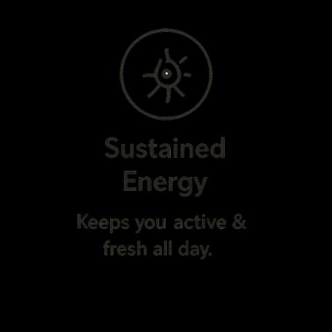 Sustained Energy. Keeps you active & fresh all day.